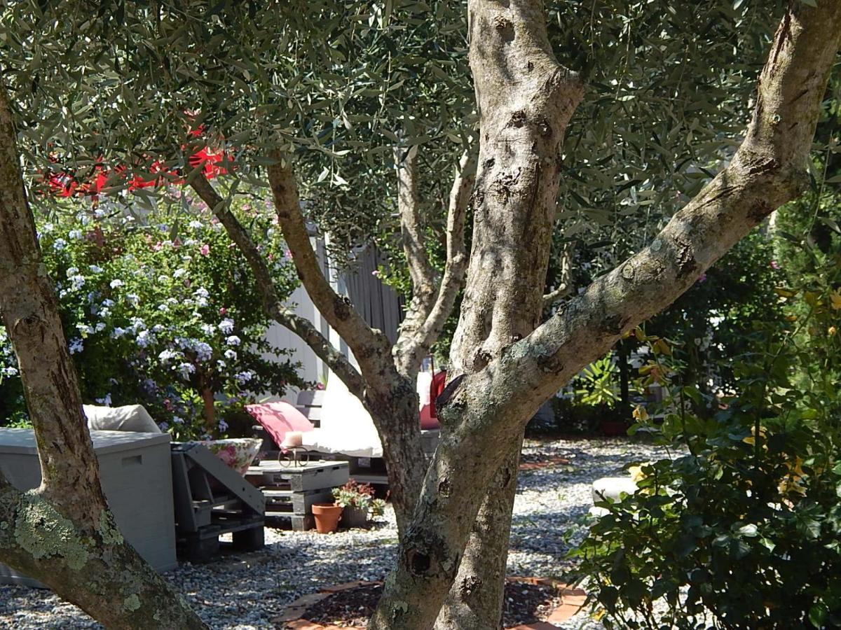 B&B Pie Del Castello Levanto Exterior foto